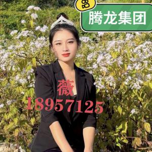 微30013361騰龍公司上下分充值窗口怎么找尋？